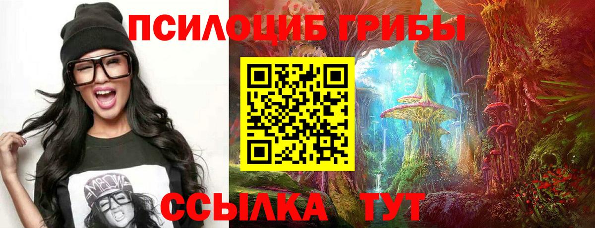 Псилоцибиновые грибы Cubensis  Вход с VPN  Когалым 